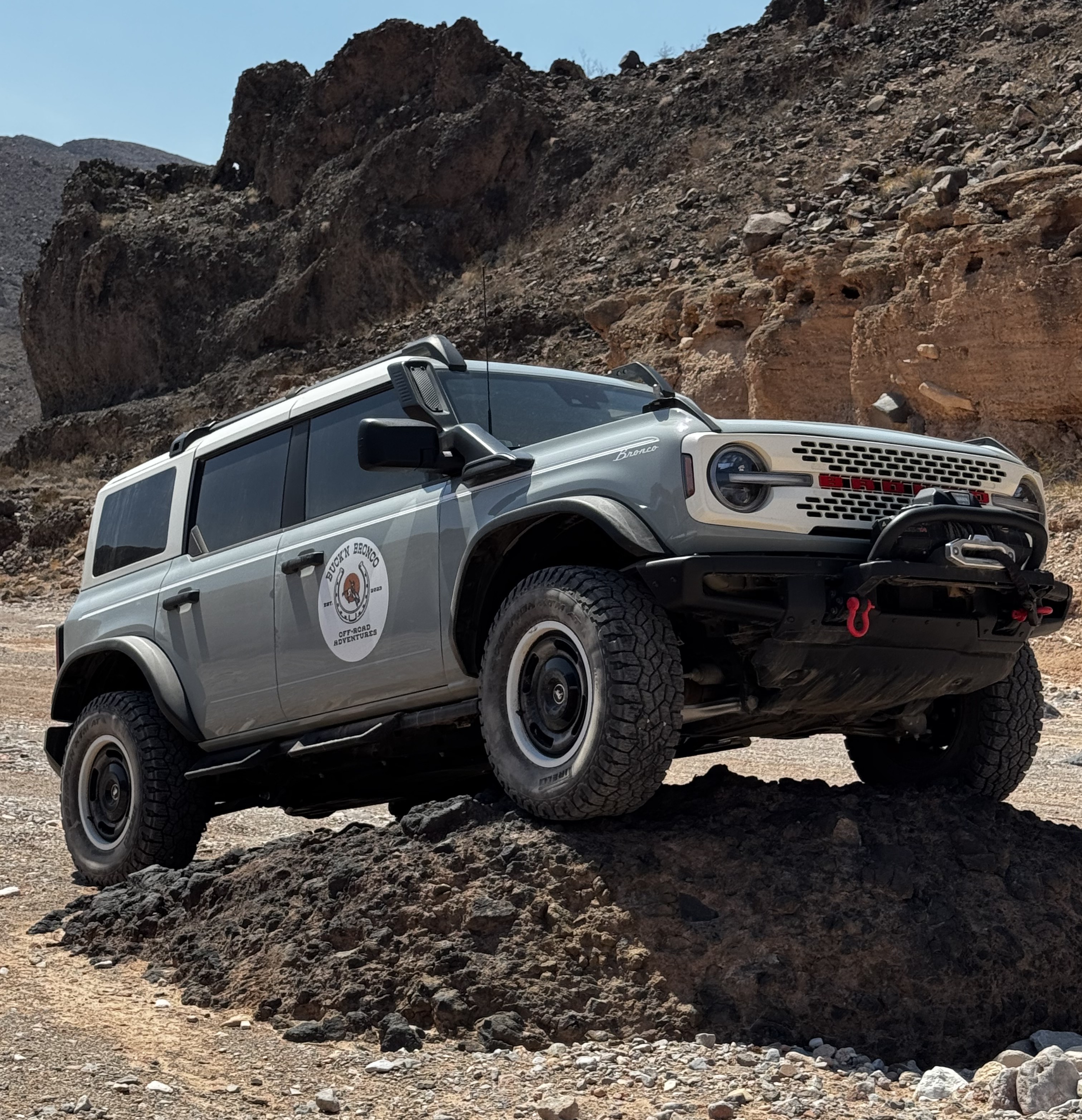 Caleb: Cactus Grey Everglades